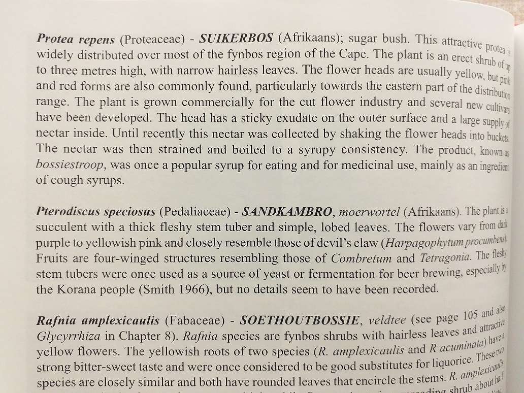 People's plants A Guide to useful plants of Southern Africa (Ben-Erik van Wyk & Nigel Gericke)