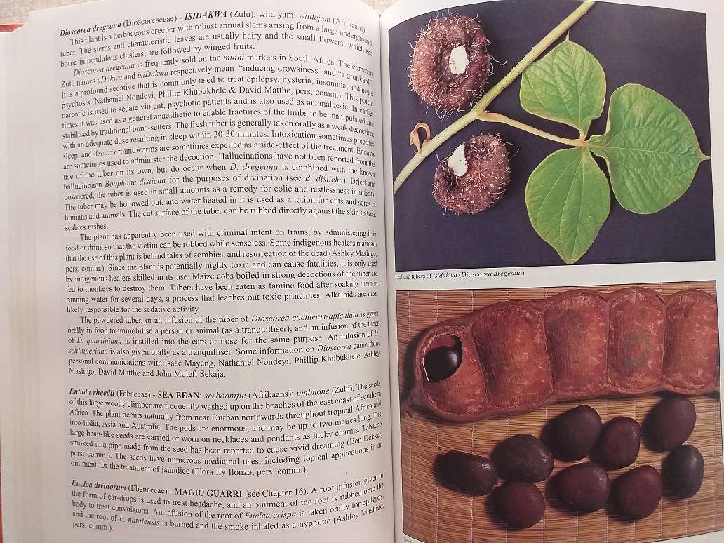 People's plants A Guide to useful plants of Southern Africa (Ben-Erik van Wyk & Nigel Gericke)