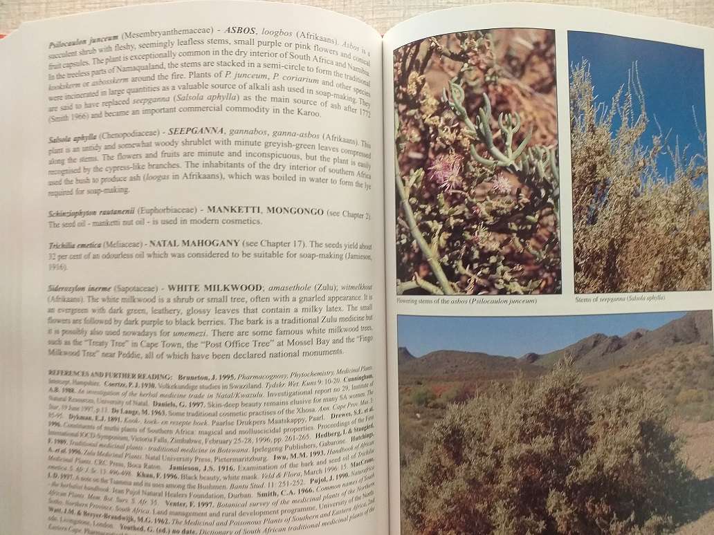 People's plants A Guide to useful plants of Southern Africa (Ben-Erik van Wyk & Nigel Gericke)