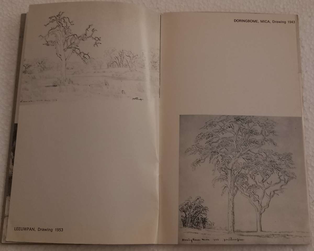 JH Pierneef Egon Guenther & Adler Galleries PAGES REMOVED