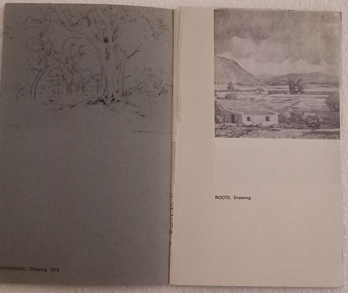 JH Pierneef Egon Guenther & Adler Galleries PAGES REMOVED