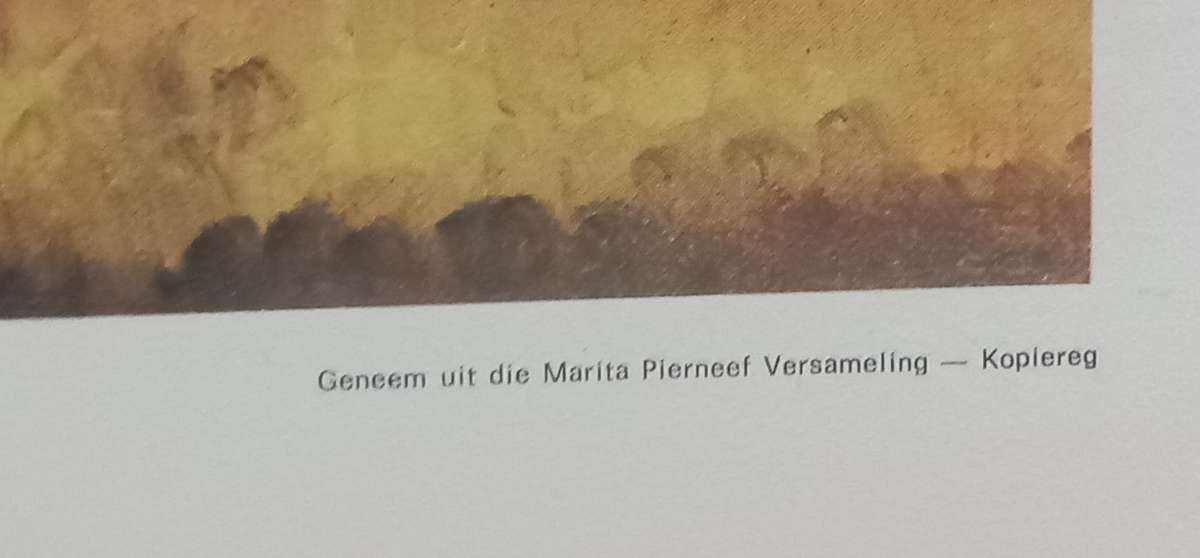 Colour Print JH Pierneef Hardekool tree