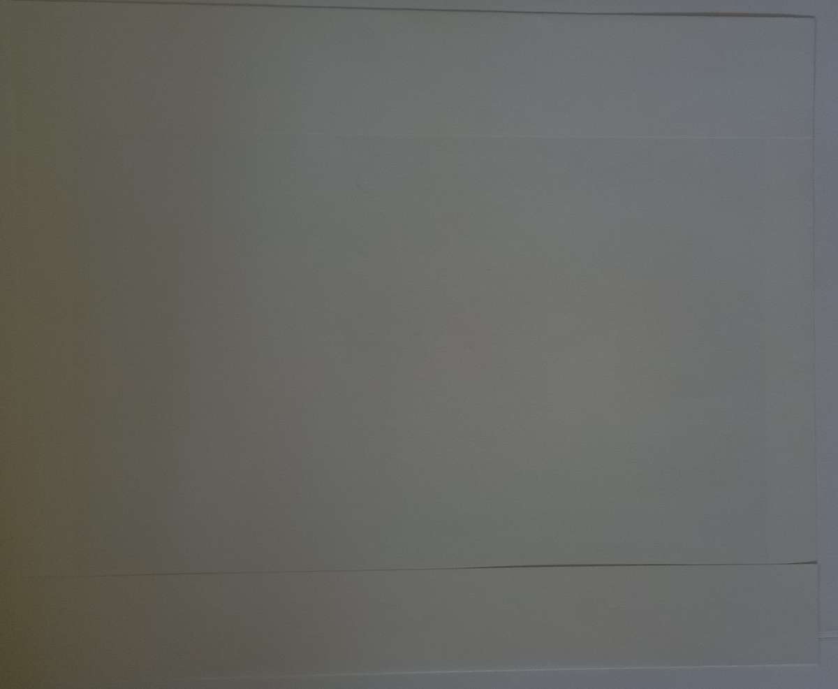 Colour Print JH Pierneef Hardekool tree