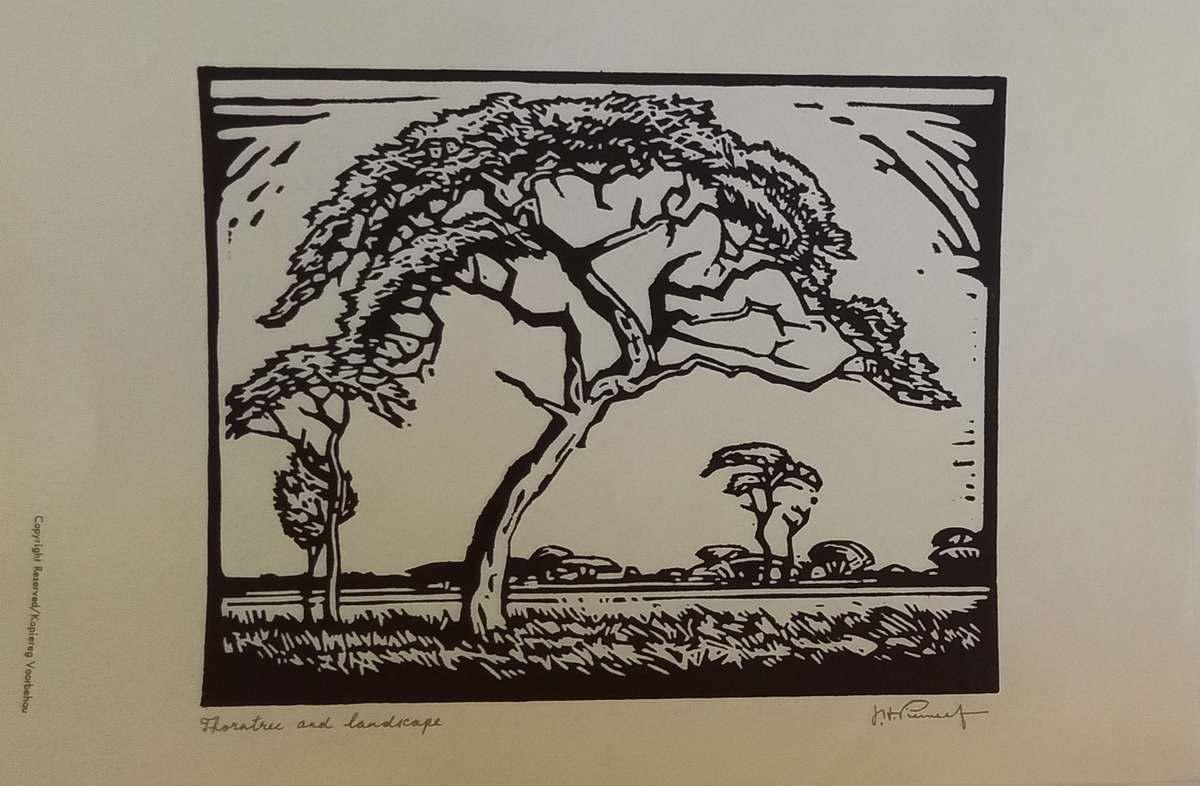 Linosniee afdruk van Doringboom met landskap deur Jacob Hendrik Pierneef