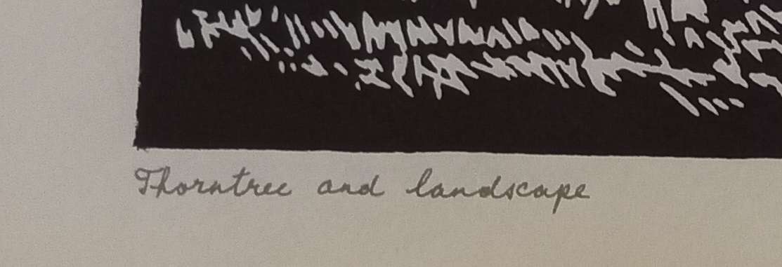 Linosniee afdruk van Doringboom met landskap deur Jacob Hendrik Pierneef