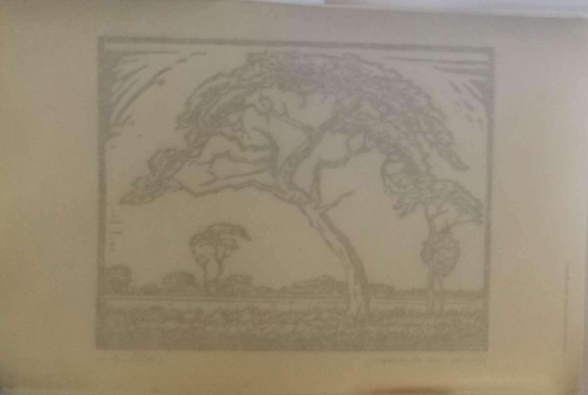 Linosniee afdruk van Doringboom met landskap deur Jacob Hendrik Pierneef