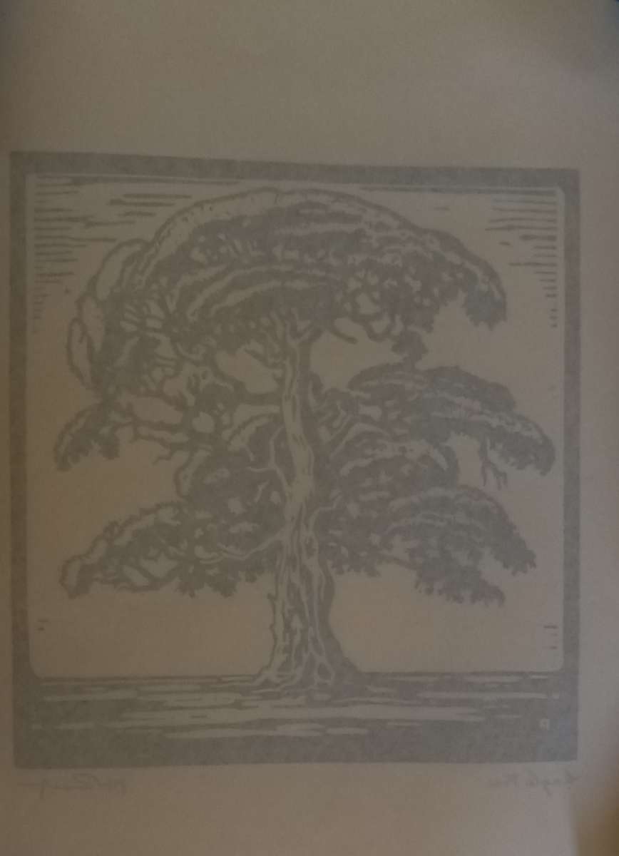 Linosniee afdruk van Enkele boom deur Jacob Hendrik Pierneef