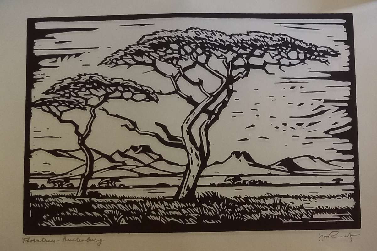 Linosniee afdruk van Doringbome Rustenburg deur Jacob Hendrik Pierneef