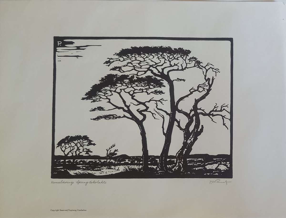 Linosniee afdruk van Kameeldorings Springbokvlakte deur Jacob Hendrik Pierneef