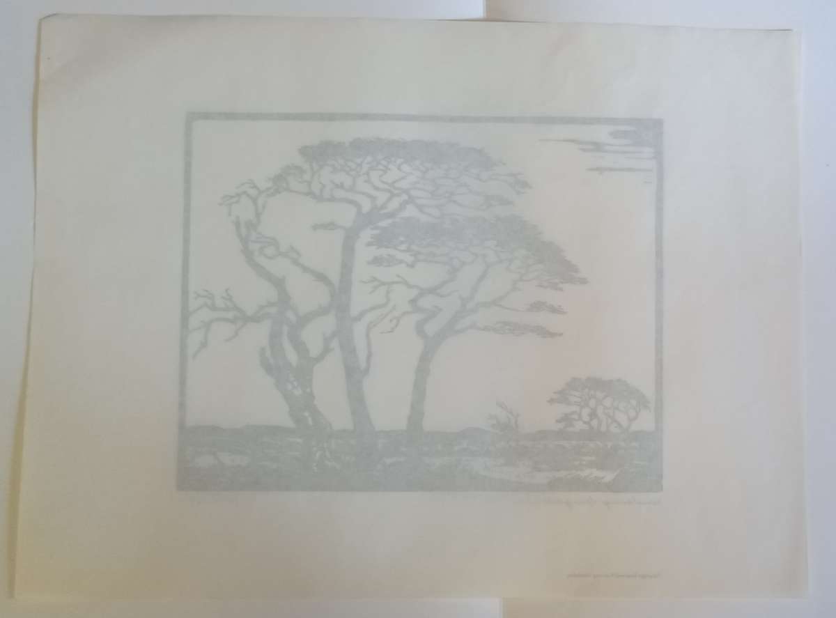 Linosniee afdruk van Kameeldorings Springbokvlakte deur Jacob Hendrik Pierneef