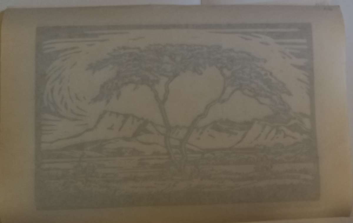 Linosniee afdruk van Landskap Soutpansberg deur Jacob Hendrik Pierneef