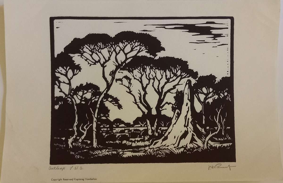 Linosniee afdruk van Miershoop SWA deur Jacob Hendrik Pierneef