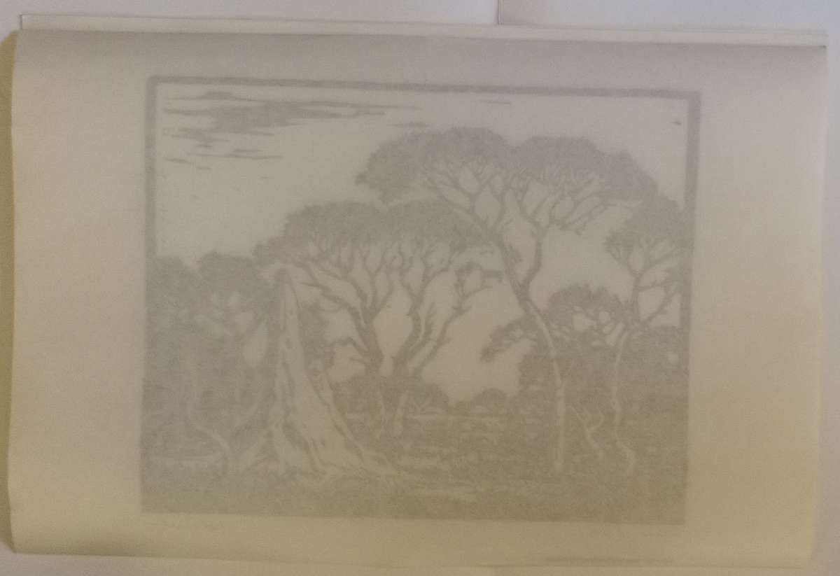 Linosniee afdruk van Miershoop SWA deur Jacob Hendrik Pierneef