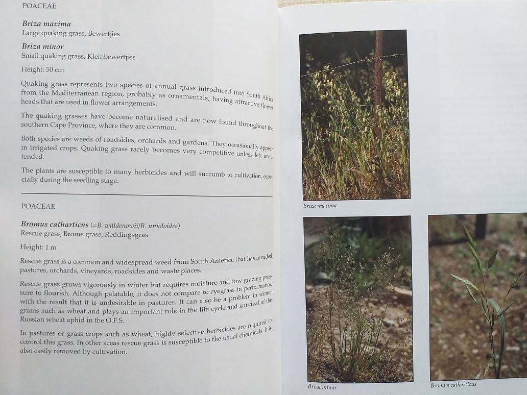Problem plants of South Africa (Clive Bromilow) First Edition