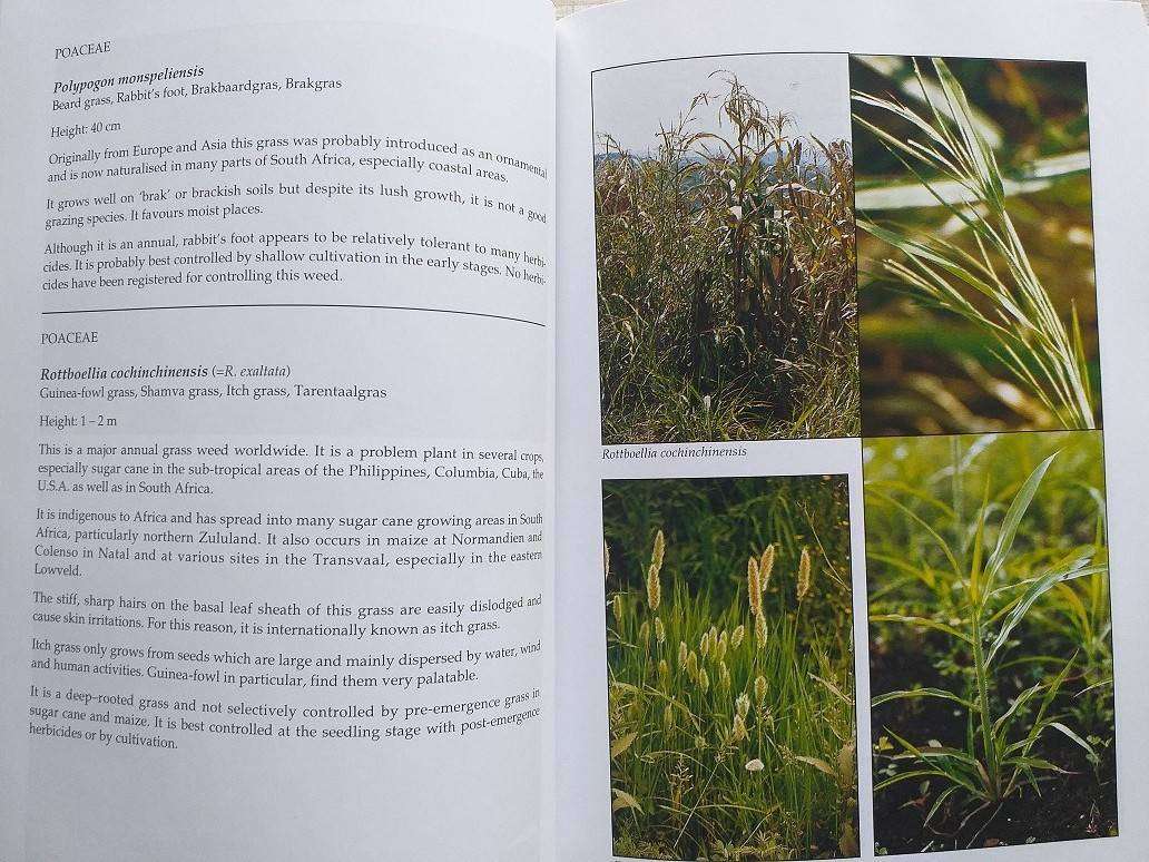Problem plants of South Africa (Clive Bromilow) First Edition