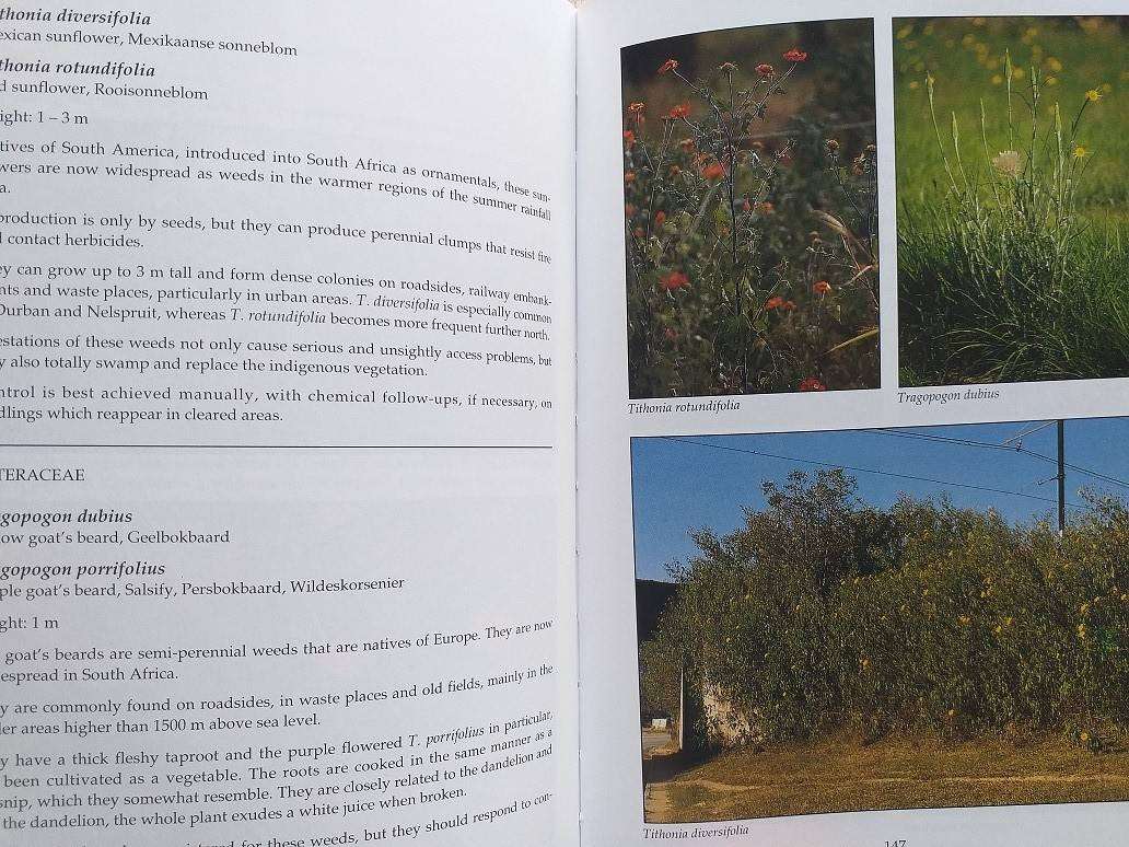 Problem plants of South Africa (Clive Bromilow) First Edition