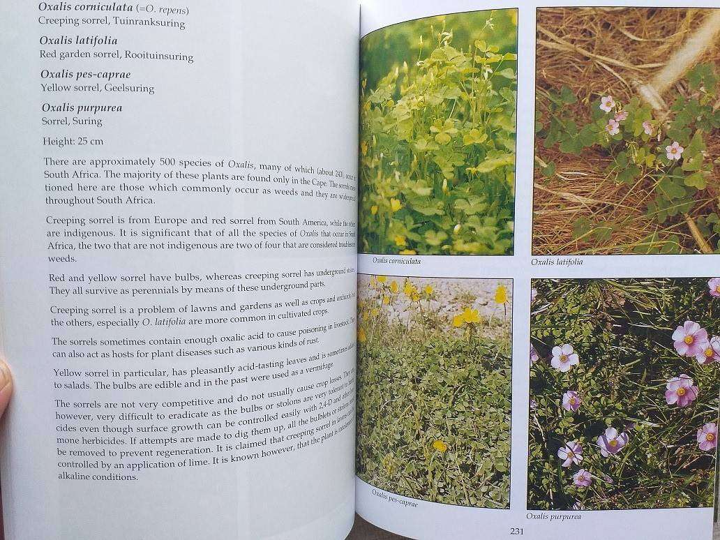 Problem plants of South Africa (Clive Bromilow) First Edition