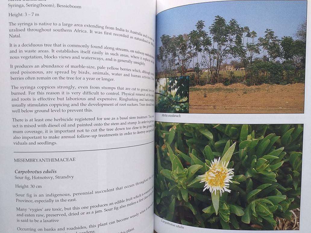 Problem plants of South Africa (Clive Bromilow) First Edition