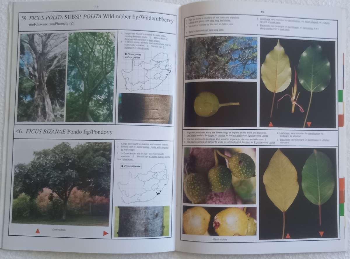 SA Ficus Identifikasiegids Identification Guide (Marthinus Steyn) SA Acacia Identifikasiegids