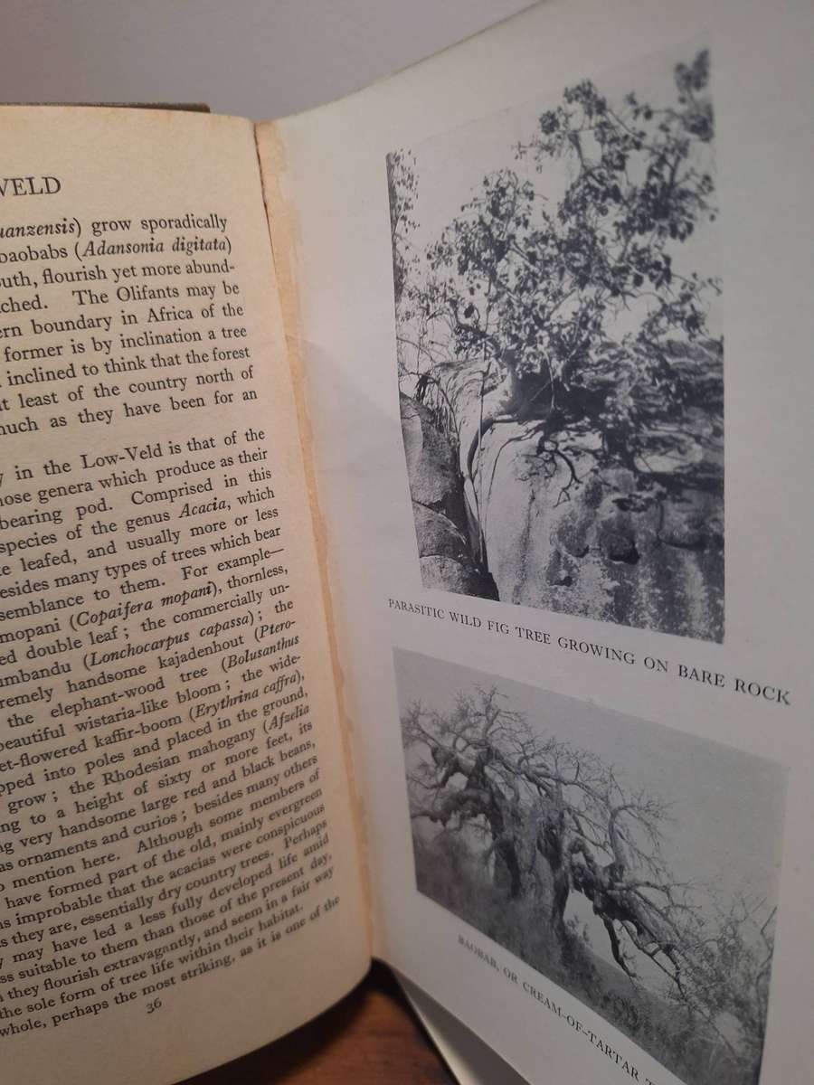 The Low-Veld: It's Wildlife and It's People - Lieut.-Col.J. - Stevenson-Hamilton. 1929.