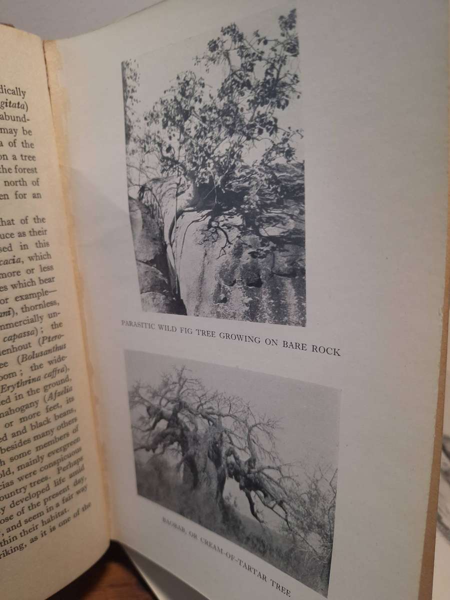 The Low-Veld: It's Wildlife and It's People - Lieut.-Col.J. - Stevenson-Hamilton. 1929.