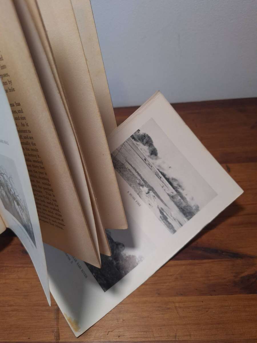 The Low-Veld: It's Wildlife and It's People - Lieut.-Col.J. - Stevenson-Hamilton. 1929.