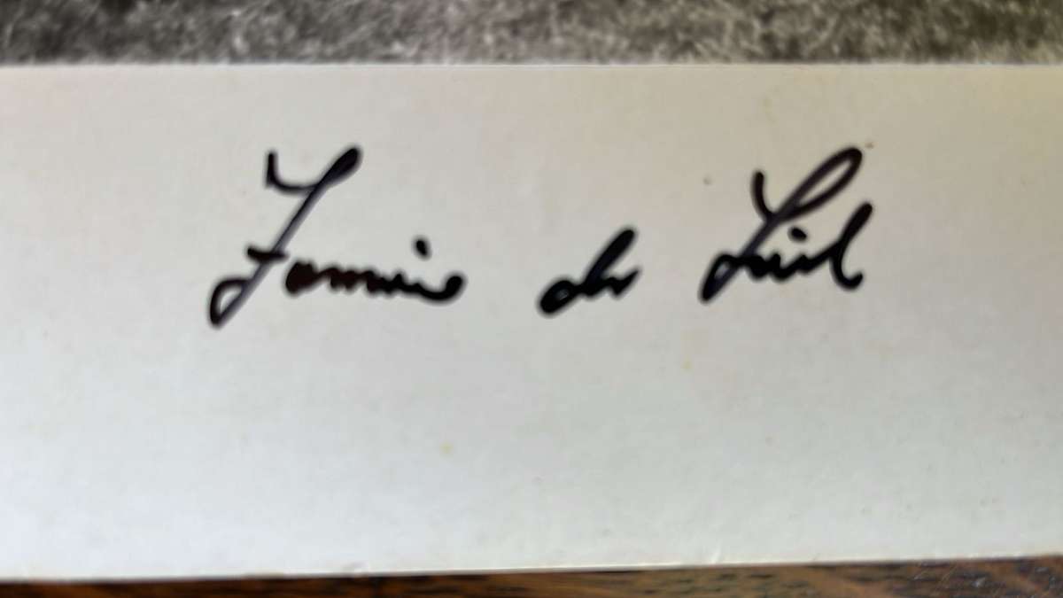 1951 Original Signed Photo - Springboks Being Introduced, details below