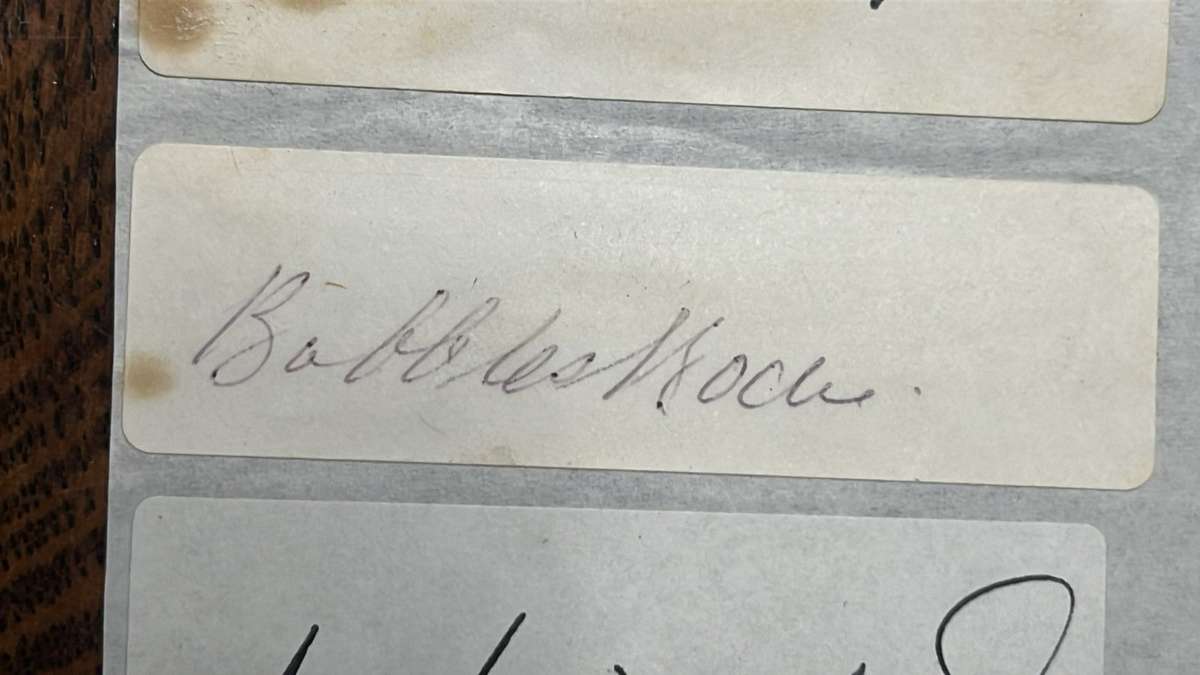 Original Signatures of 13 Springboks, details below