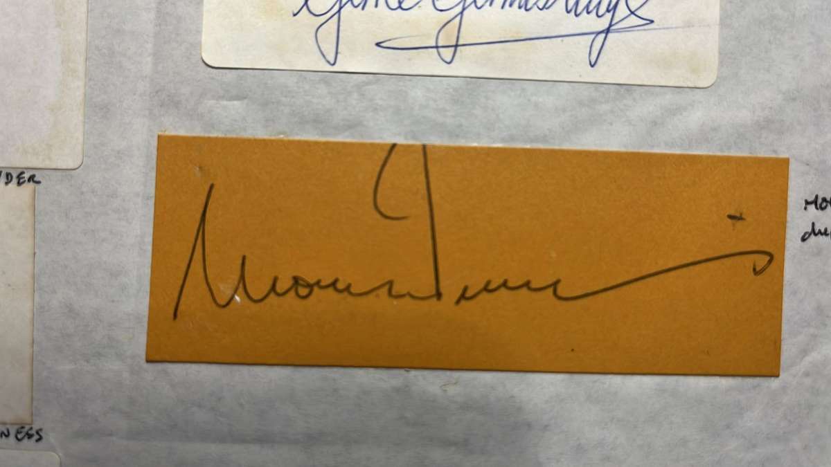 Original Signatures of 13 Springboks, details below