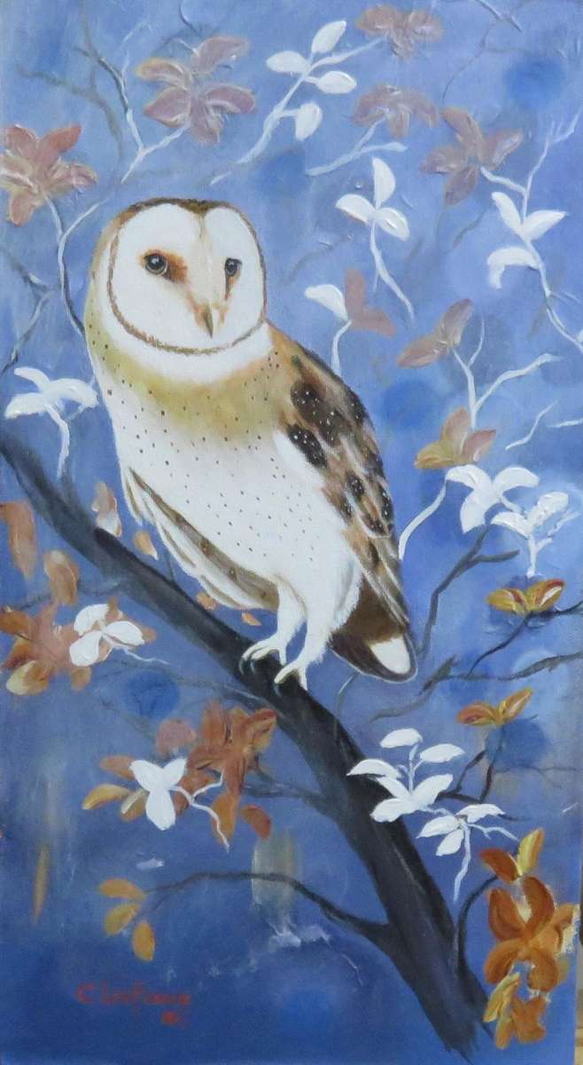 beautiful OWL  by C Leeferink   460mm x 250mm