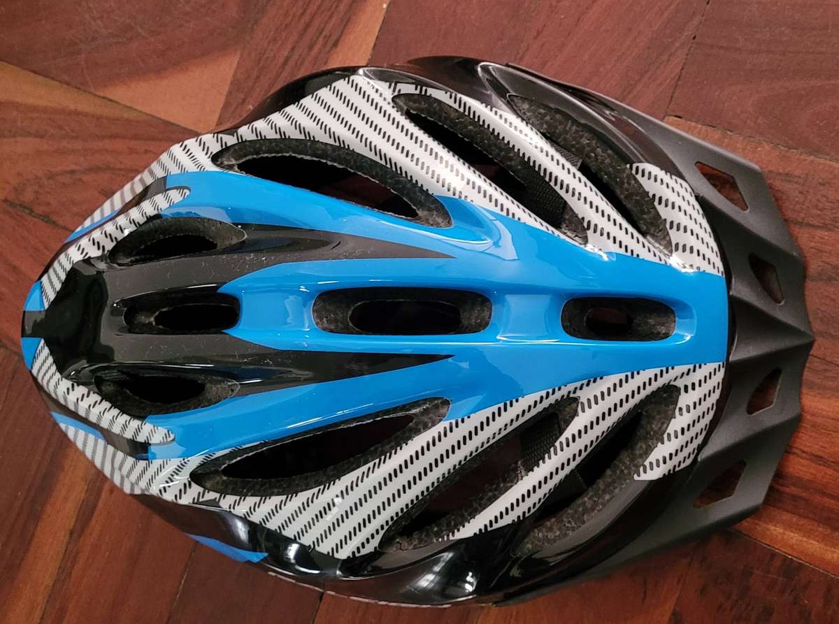 Raleigh cycling helmet