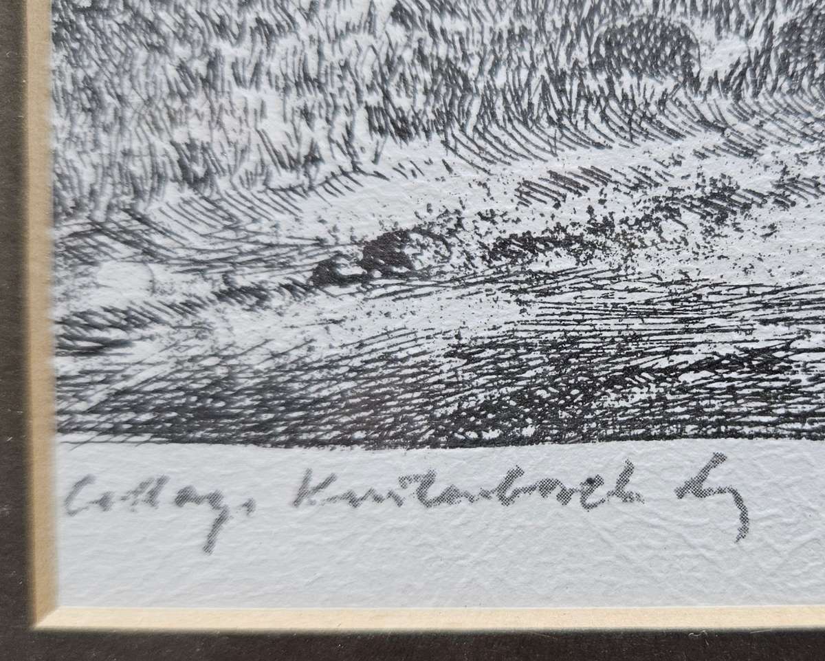 Signed Tinus de Jongh