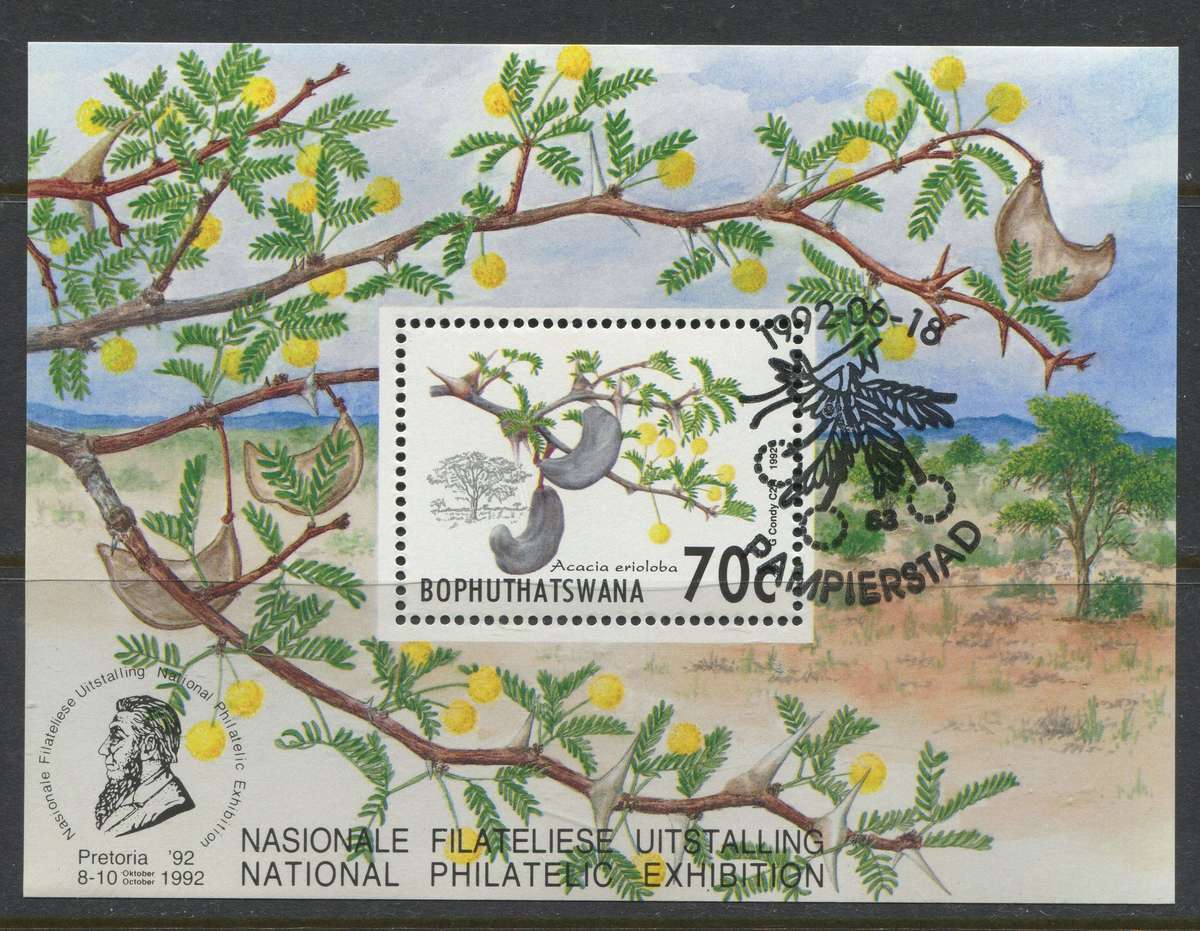 Bophuthatswana - Miniature Sheet - 1992 - Used(CTO)
