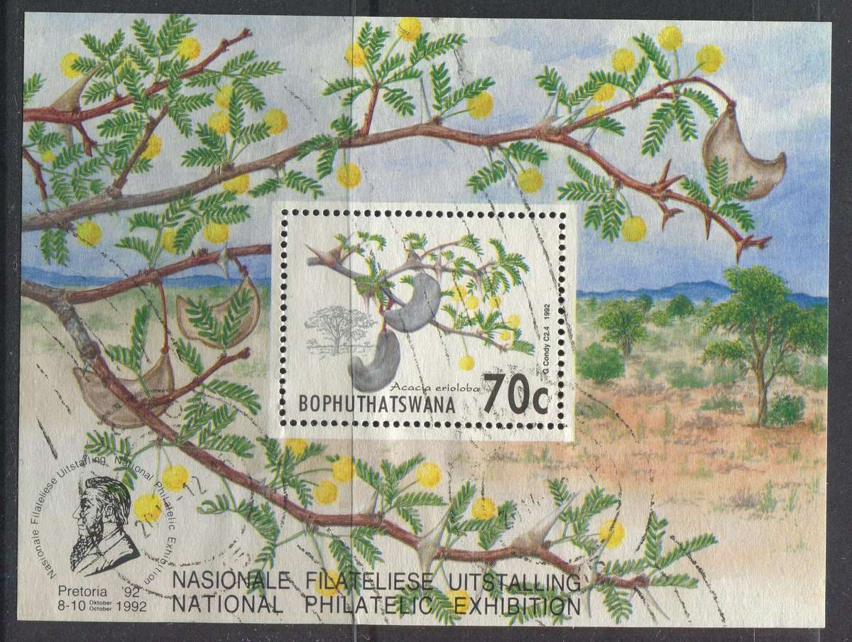 Bophuthatswana - Miniature Sheet - 1992 - Used
