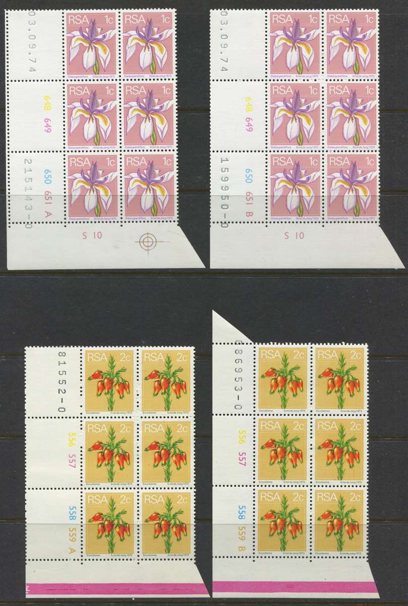 RSA - 30 Control Blocks Of 6 - 1974 - MNH
