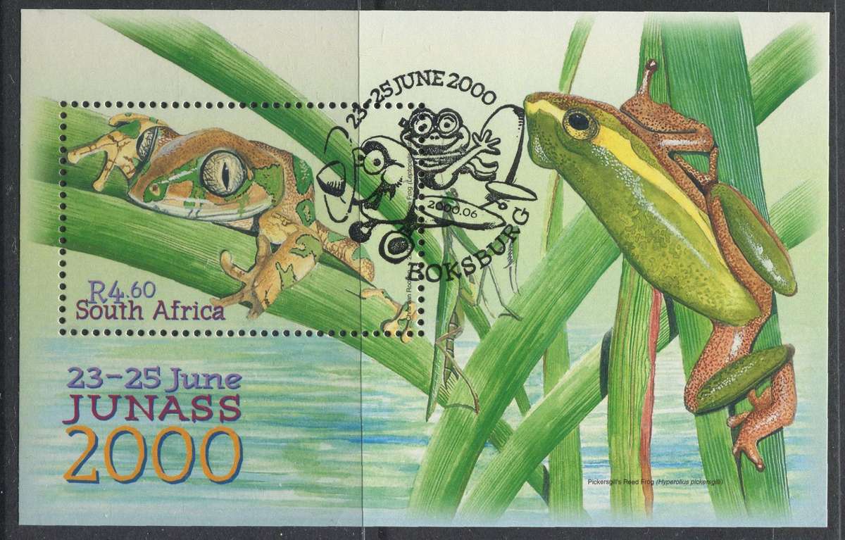 RSA - Miniature Sheet - 2000 - Used(CTO)