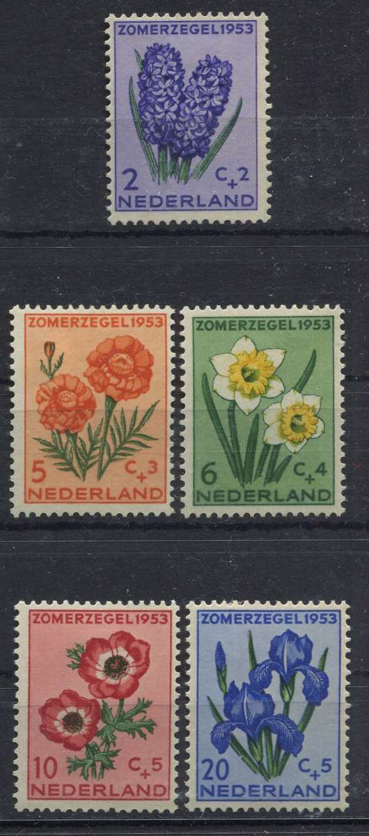 Netherlands - 1953 - MM