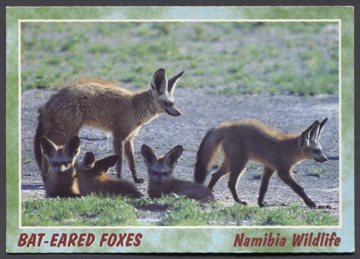 Namibia - Post Card