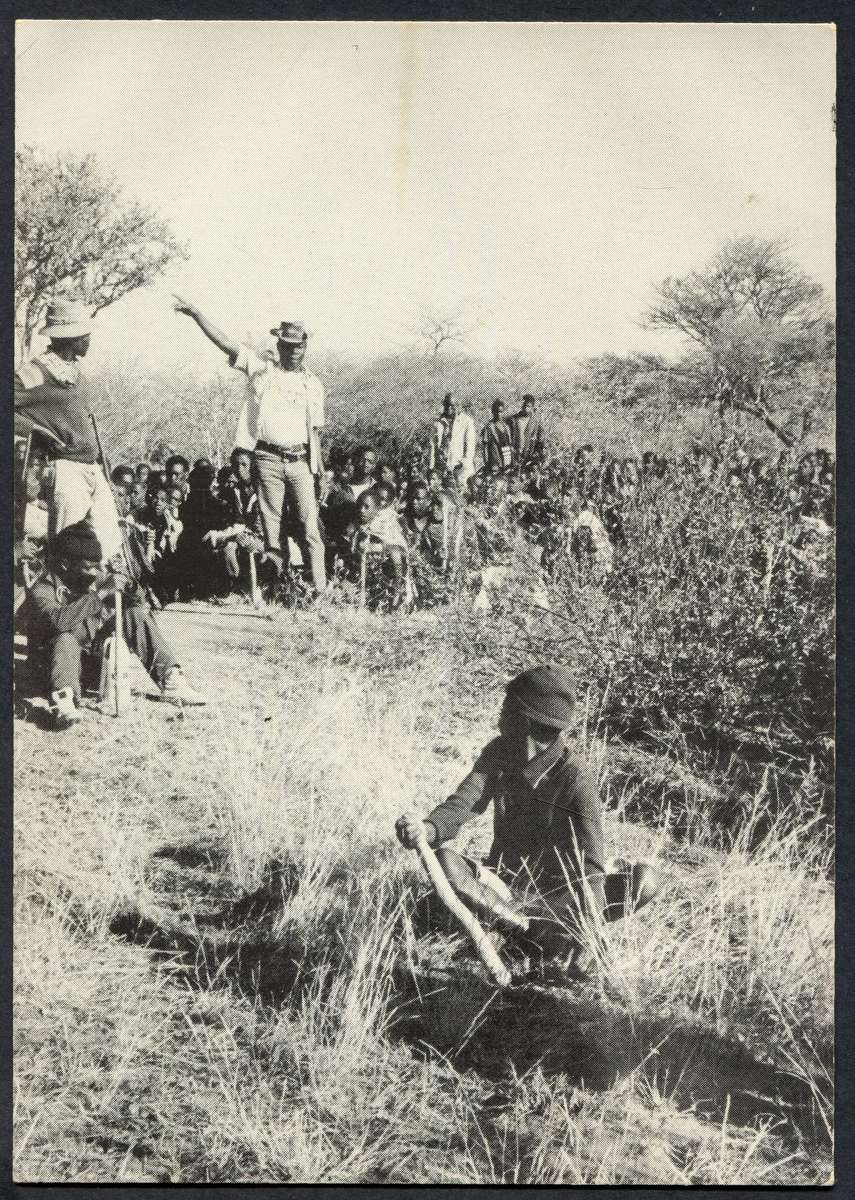 Botswana - Post Card