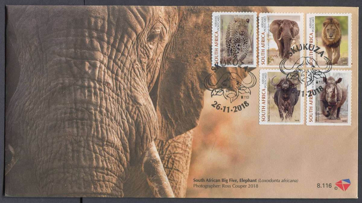 RSA - FDC - No 8.116 - 2018