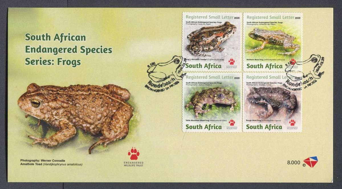 RSA - FDC - Card - No 8.000 - 2020