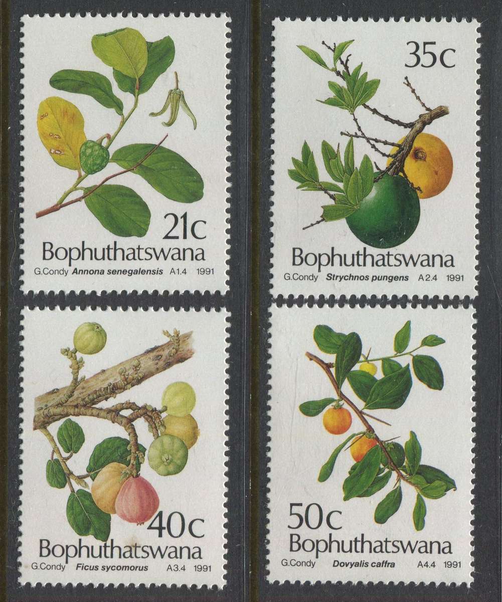 Bophuthatswana - 1991 - MNH