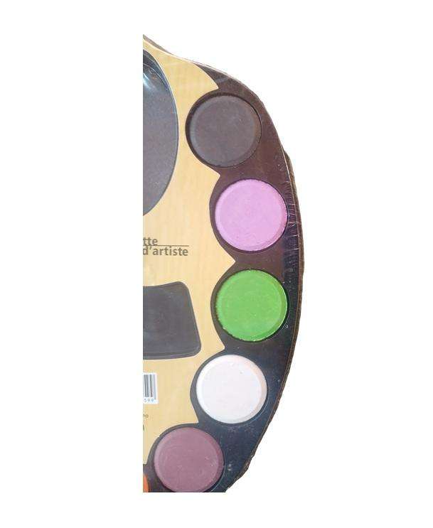 Vibrant Watercolor Artistic Paint Palette Set - Contains 12 Different Vibrant Colors