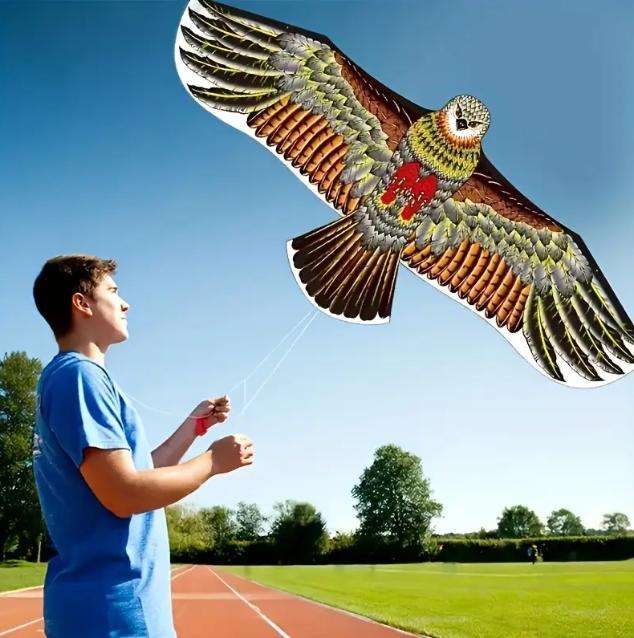 Large Scale Eagle Themed Outdoors Kite