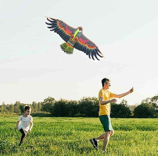 Large Scale Eagle Themed Outdoors Kite