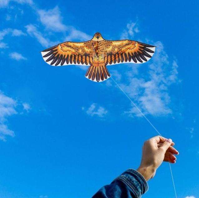 Large Scale Eagle Themed Outdoors Kite