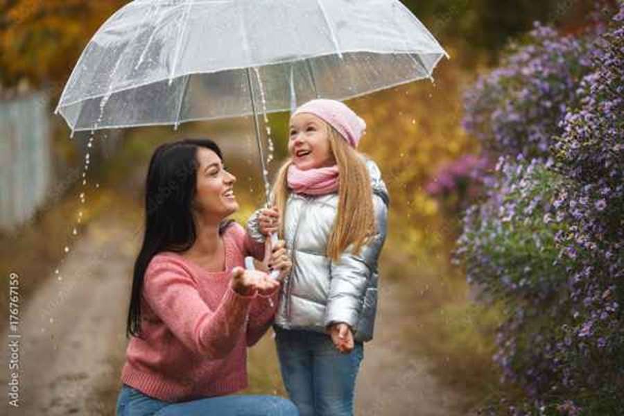 Chic  , Stylish & Unique Transparent Waterproof Umbrella