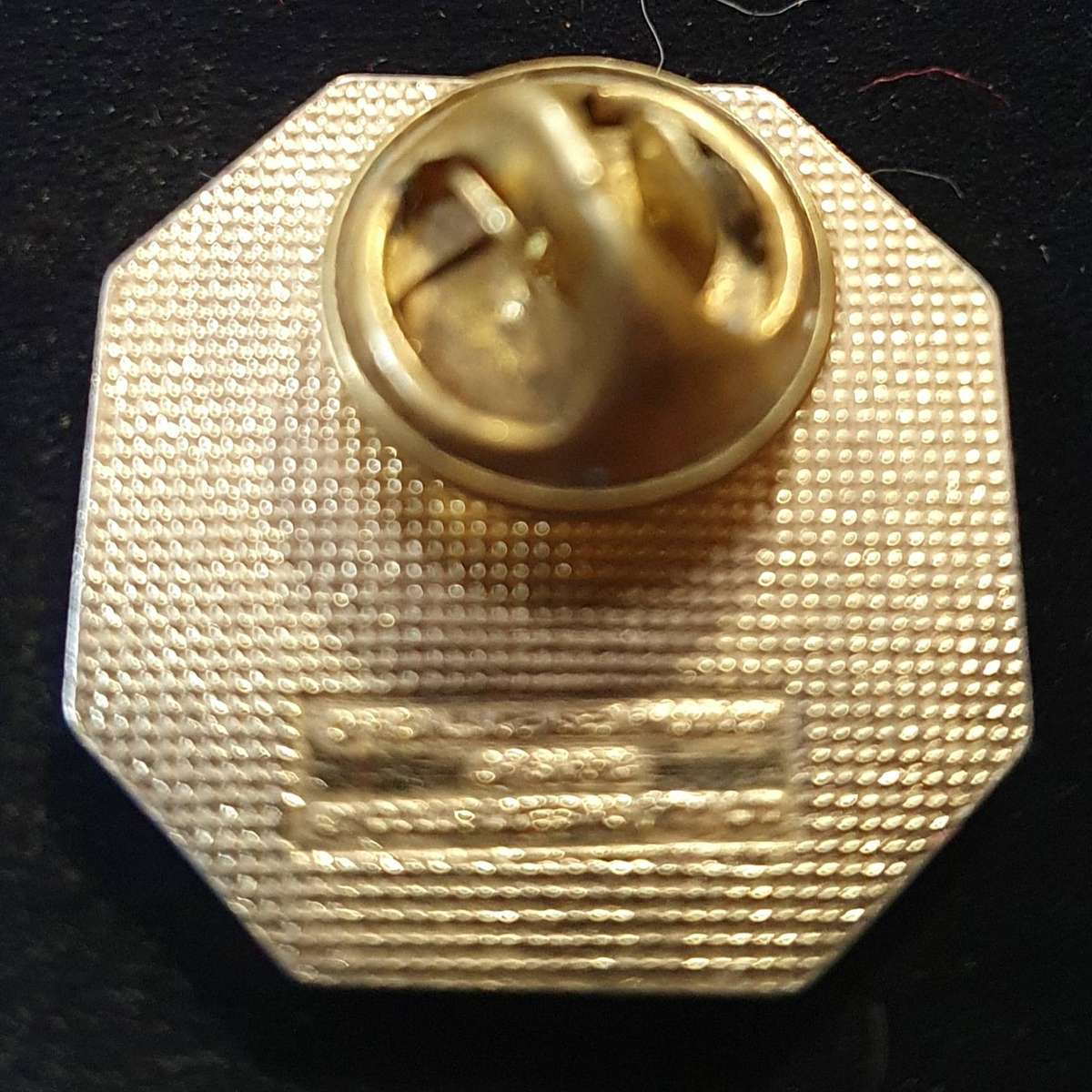 OFFICIAL SARFU SPRINGBOK RUGBY PIN.