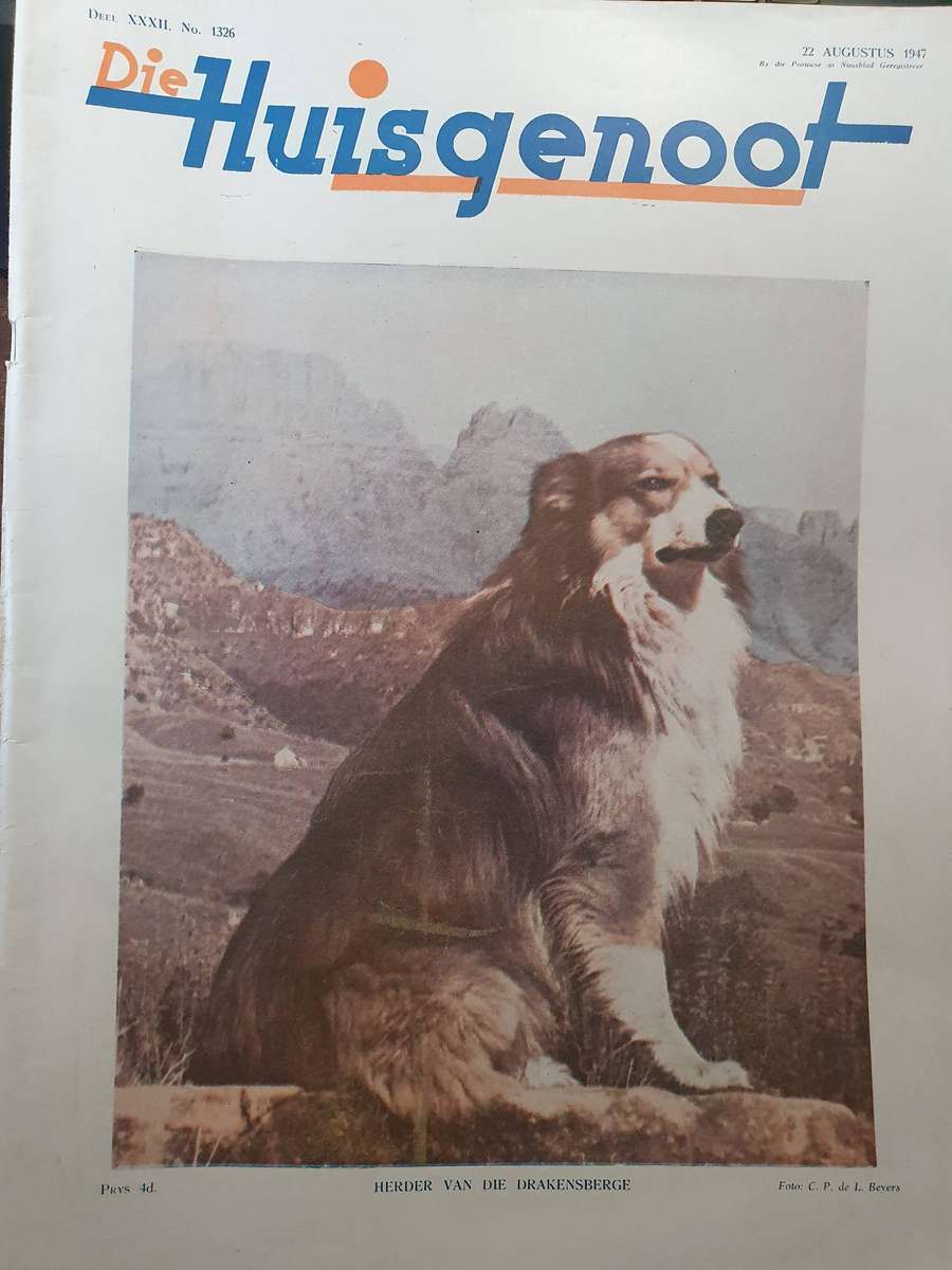 22 AUG. 1947  DIE HUISGENOOT. COLLECTORS EDD. BIG FORMAT 28CM W X 35CM L.