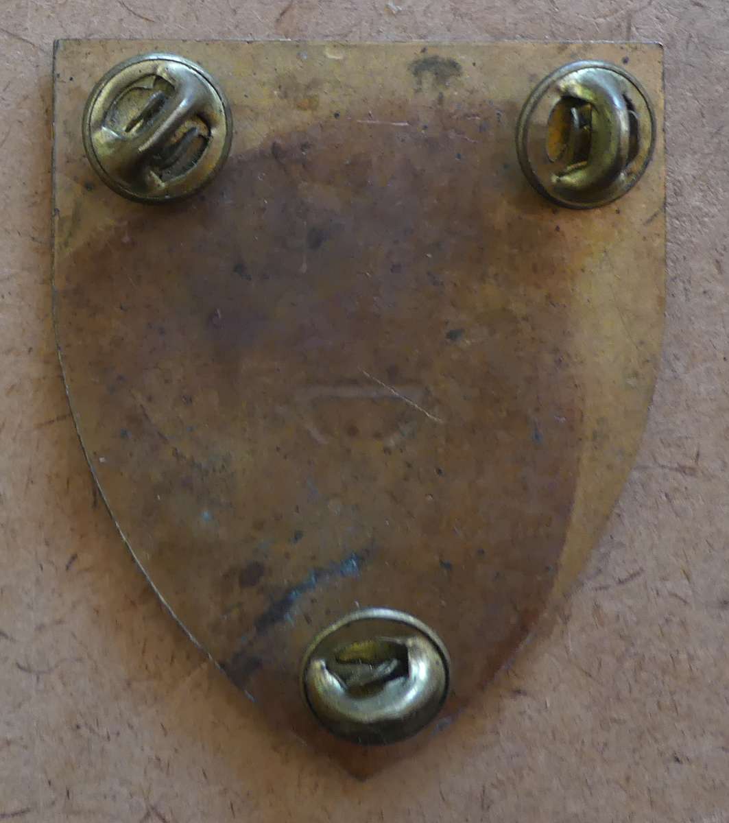 SADF - Lindley Commando Shoulder Flash -- Pins intact